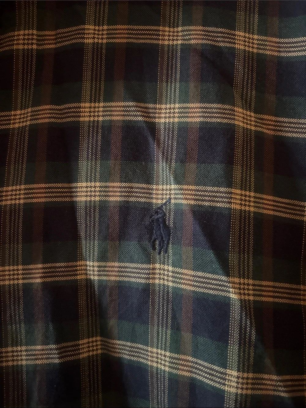 Polo by Ralph Lauren Green & Navy Plaid Button-Down Shirt